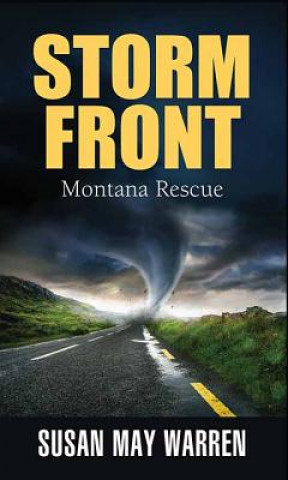 Buch Storm Front Susan May Warren