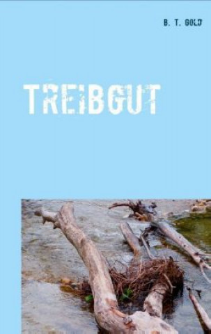 Knjiga Treibgut B. T. Gold