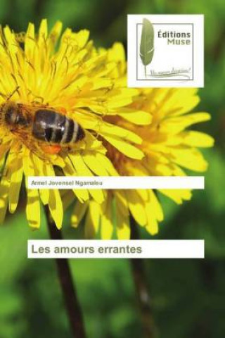 Buch Les amours errantes Armel Jovensel Ngamaleu