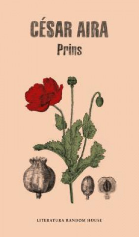 Book Prins CESAR AIRA