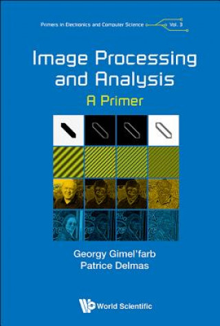 Könyv Image Processing And Analysis: A Primer Georgy Gimel'Farb