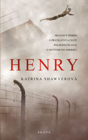 Kniha Henry Katrina Shawverová