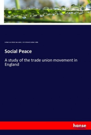 Книга Social Peace Gerhart von Schulze Gaevernitz