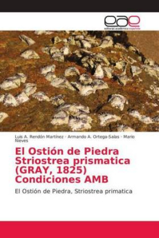 Könyv Ostion de Piedra Striostrea prismatica (GRAY, 1825) Condiciones AMB Luis A. Rendón Martínez