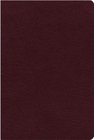 Kniha NIV, Reference Bible, Giant Print, Bonded Leather, Burgundy, Red Letter Edition, Indexed, Comfort Print Zondervan