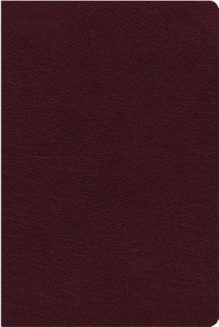 Książka NIV, Reference Bible, Giant Print, Bonded Leather, Burgundy, Red Letter Edition, Indexed, Comfort Print Zondervan