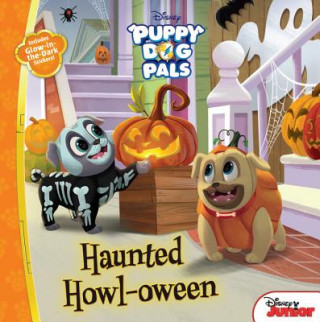 Książka Puppy Dog Pals Haunted Howl-oween Disney Book Group