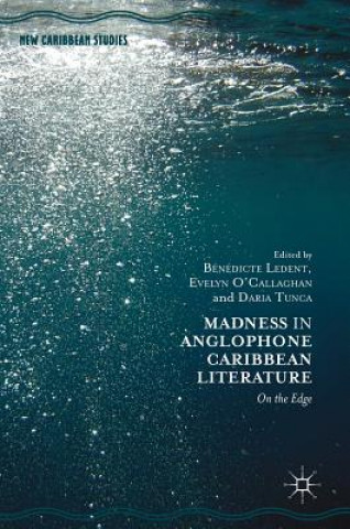 Kniha Madness in Anglophone Caribbean Literature Bénédicte Ledent