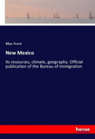 Carte New Mexico Max Frost