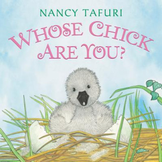 Kniha Whose Chick Are You? Nancy Tafuri