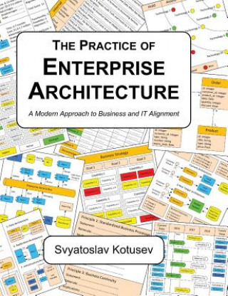Kniha Practice of Enterprise Architecture SVYATOSLAV KOTUSEV