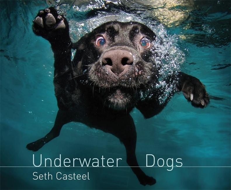 E-kniha Underwater Dogs Seth Casteel