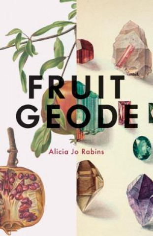 Knjiga Fruit Geode ALICIA JO RABINS