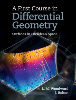 Książka First Course in Differential Geometry John (University of Durham) Bolton