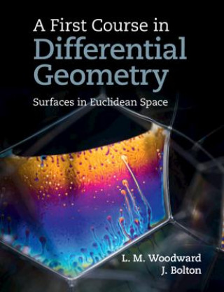 Книга First Course in Differential Geometry John (University of Durham) Bolton