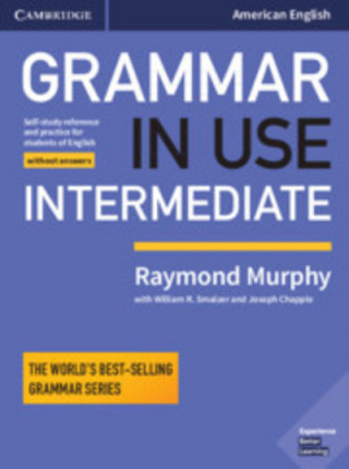 Knjiga Grammar in Use Intermediate Student's Book without Answers Raymond Murphy