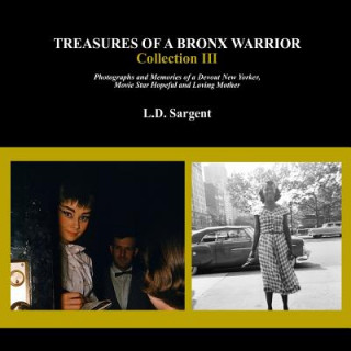 Kniha Treasures of a Bronx Warrior, Collection III L D Sargent