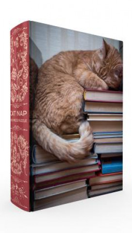 Book Cat Nap Book Box Puzzle Smith Gibbs