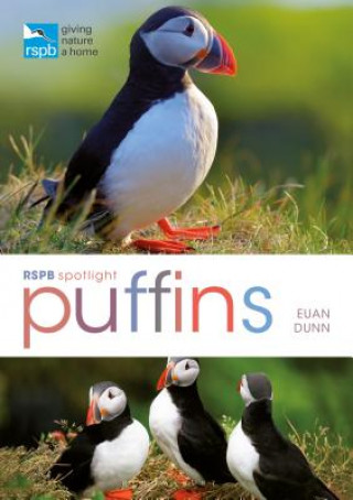 Book RSPB Spotlight: Puffins Euan Dunn