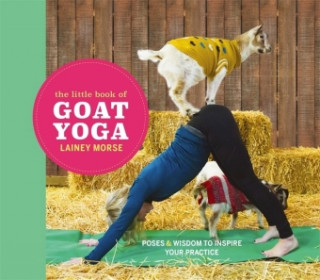 Kniha Little Book of Goat Yoga Lainey Morse