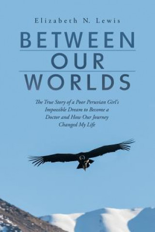 Knjiga Between Our Worlds Elizabeth N Lewis