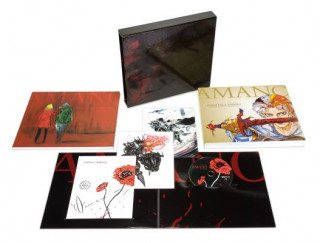 Kniha Yoshitaka Amano: The Illustrated Biography-beyond The Fantasy Limited Edition Florent Gorges