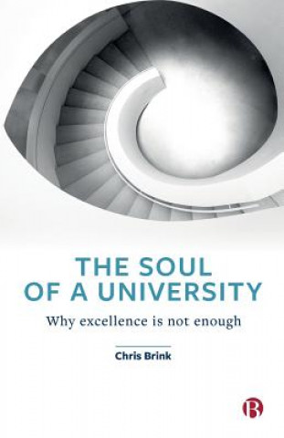 Kniha Soul of a University Chris Brink