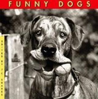 Book Funny Dogs Jane Martin