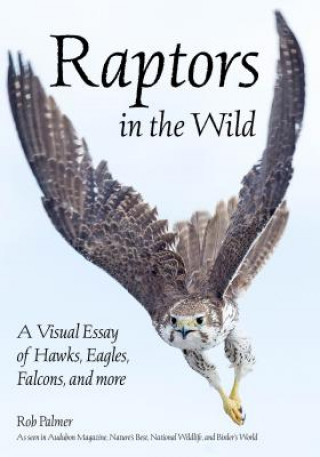 Книга Raptors In The Wild Rob Palmer