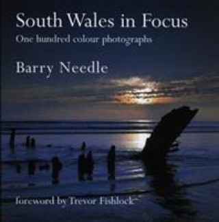 Carte South Wales in Focus Barry Needle