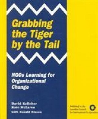 Könyv Grabbing the Tiger by the Tail David Kelleher