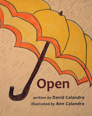 Knjiga Open DAVID CALANDRO