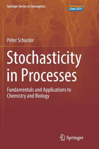 Könyv Stochasticity in Processes Peter Schuster