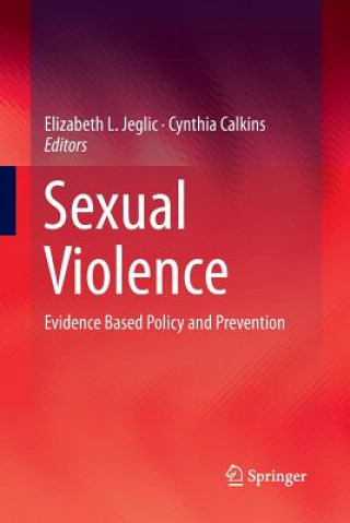 Książka Sexual Violence ELIZABETH L. JEGLIC