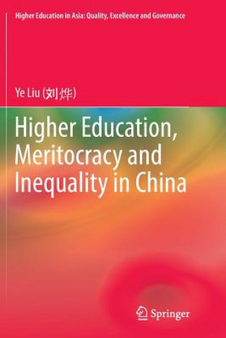 Könyv Higher Education, Meritocracy and Inequality in China YE LIU