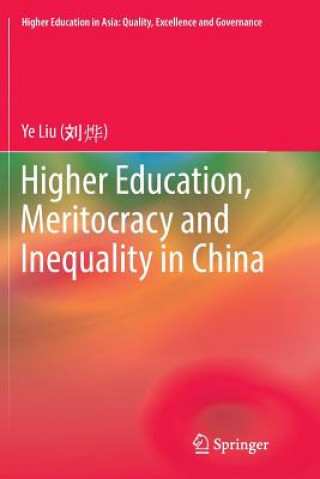 Kniha Higher Education, Meritocracy and Inequality in China YE LIU