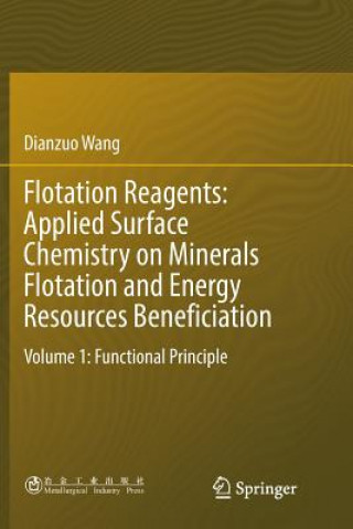 Kniha Flotation Reagents: Applied Surface Chemistry on Minerals Flotation and Energy Resources Beneficiation DIANZUO WANG