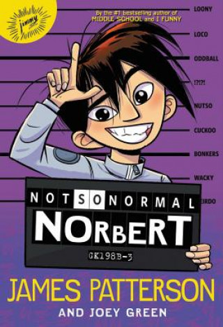 Kniha Not So Normal Norbert James Patterson