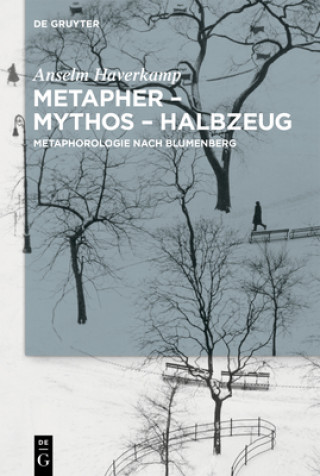 Knjiga Metapher - Mythos - Halbzeug Anselm Haverkamp