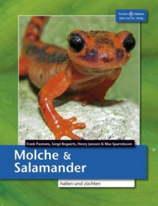 Книга Molche und Salamander Frank Pasmans