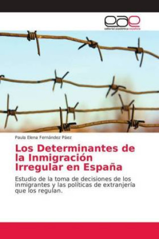 Kniha Determinantes de la Inmigracion Irregular en Espana Paula Elena Fernández Páez