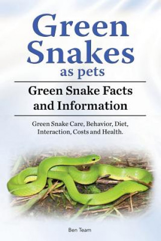 Carte Green Snakes as pets. Green Snake Facts and Information. Green Snake Care, Behavior, Diet, Interaction, Costs and Health. Ben Team
