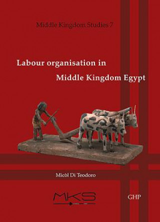 Kniha Labour organisation in Middle Kingdom Egypt Micol Di Teodoro