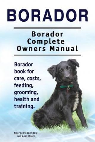 Könyv Borador. Borador Complete Owners Manual. Borador book for care, costs, feeding, grooming, health and training. George Hoppendale