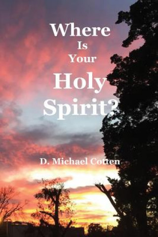 Carte Where Is Your Holy Spirit? Michael Cotten