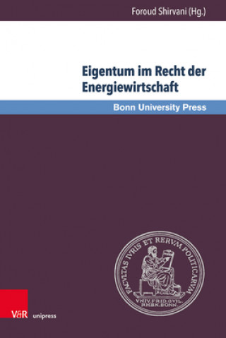 Könyv Eigentum im Recht der Energiewirtschaft Foroud Shirvani
