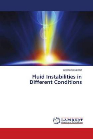 Книга Fluid Instabilities in Different Conditions Labakanta Mandal