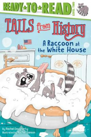 Carte A Raccoon at the White House Rachel Dougherty