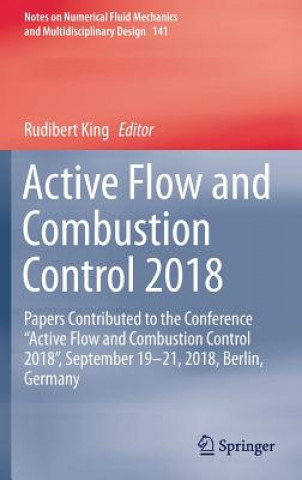 Knjiga Active Flow and Combustion Control 2018 Rudibert King