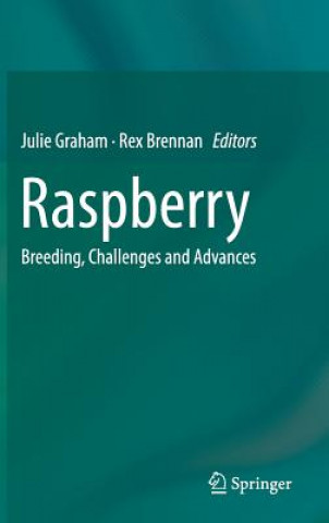Buch Raspberry Julie Graham